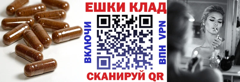 где можно купить   Сретенск  мориарти официальный сайт  Ecstasy диски 