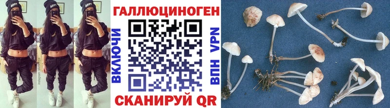 Галлюциногенные грибы мицелий  это как зайти  Сретенск 