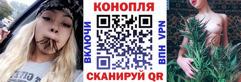 Шишки марихуана OG Kush  omg как войти  Сретенск 